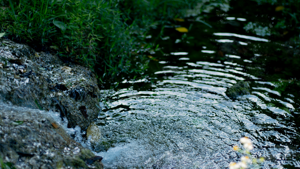 命をつなぐもの