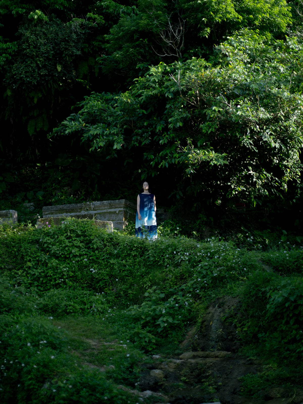 琉球杢目　沖縄ミンサー模様　