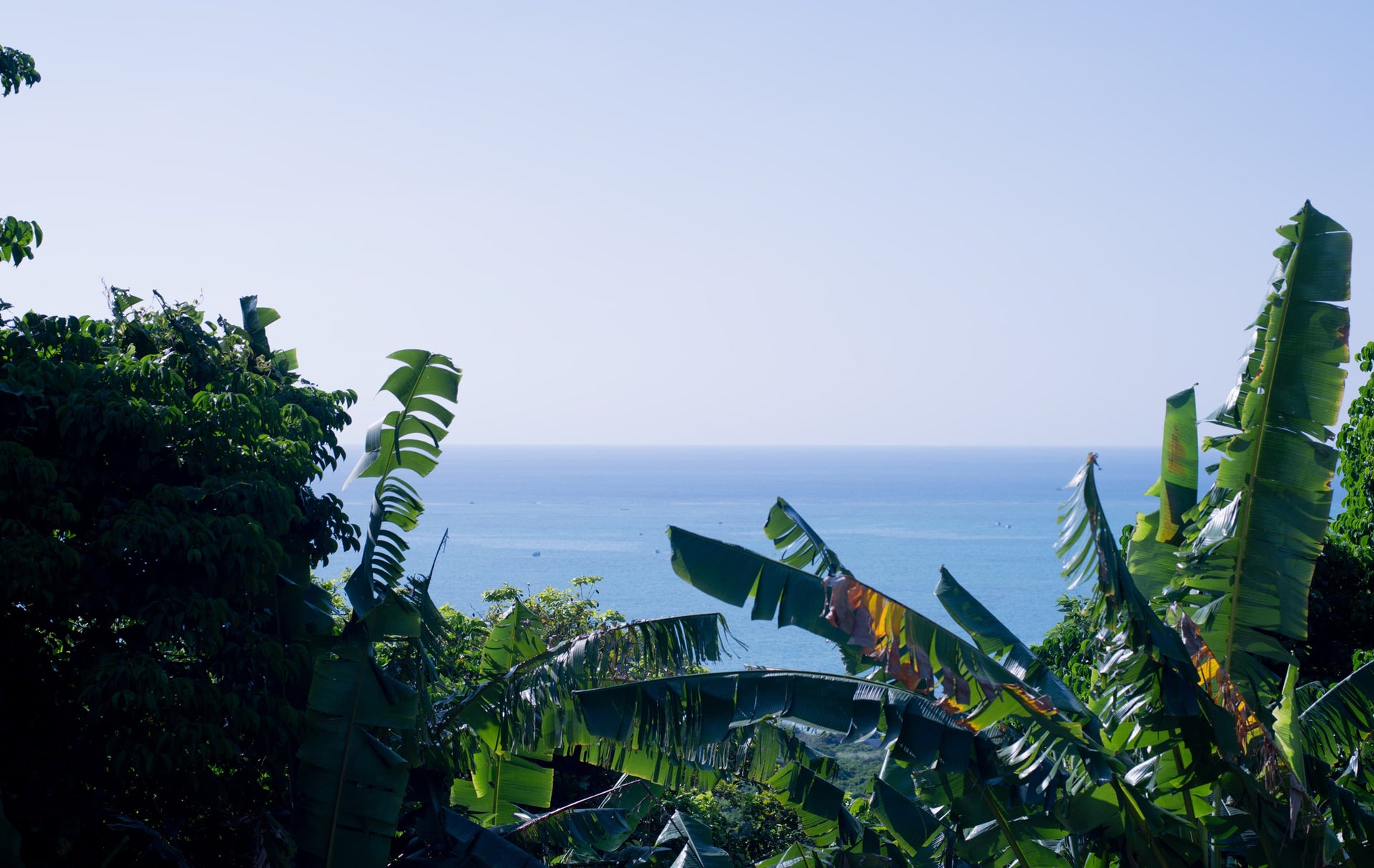 琉球杢目　沖縄ミンサー模様　