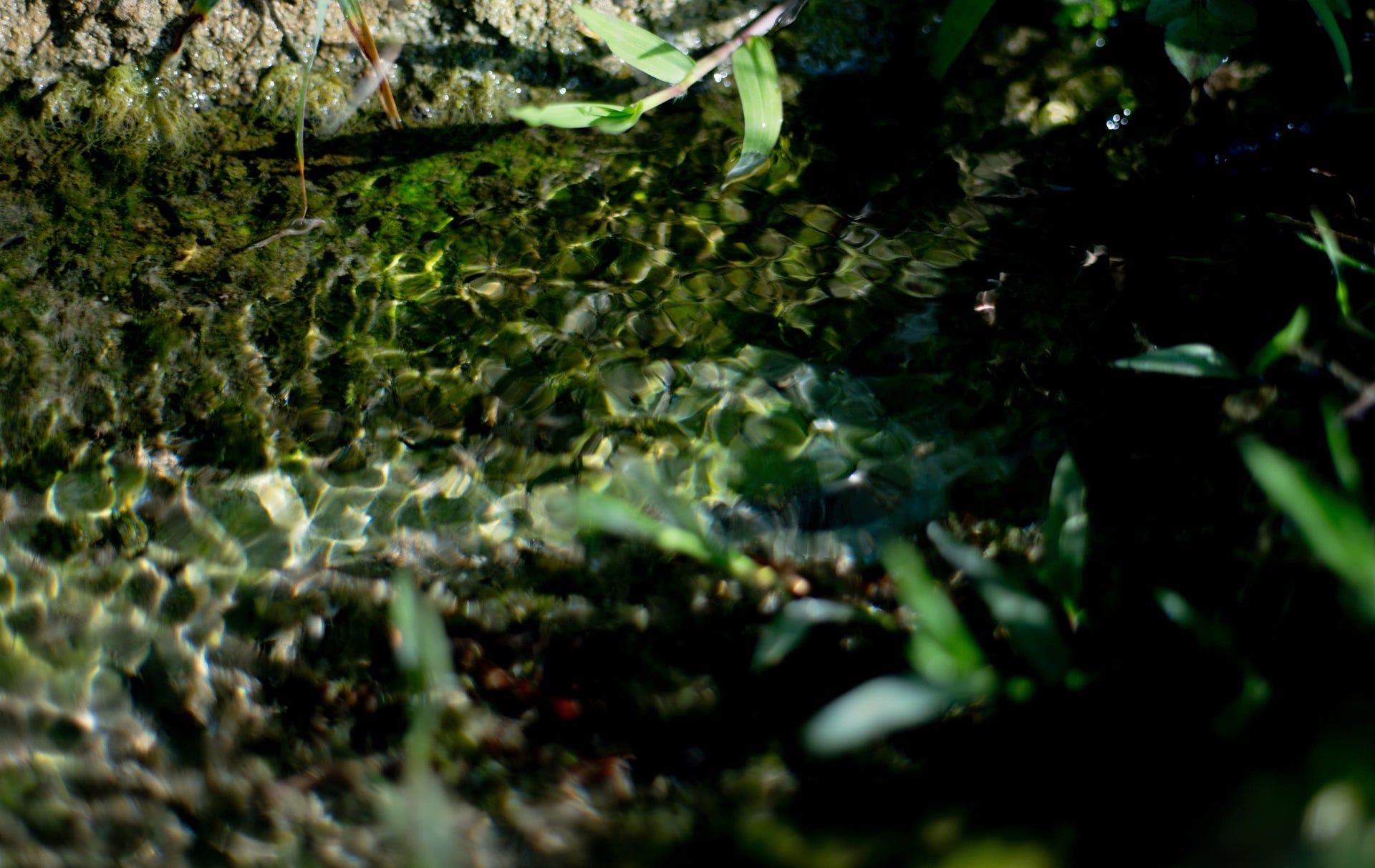 沖縄ミンサー模様　琉球杢目　